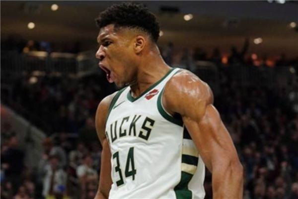 迷与投资者 迷与投资者