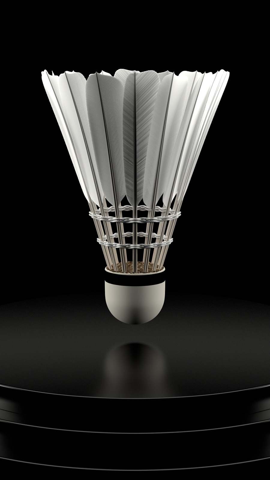 北京体育大 北京体育大